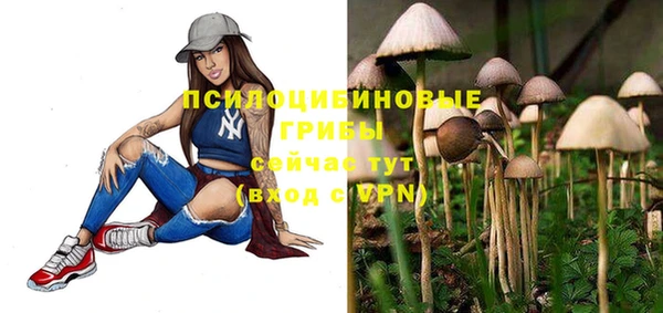 эйфоретик Алзамай