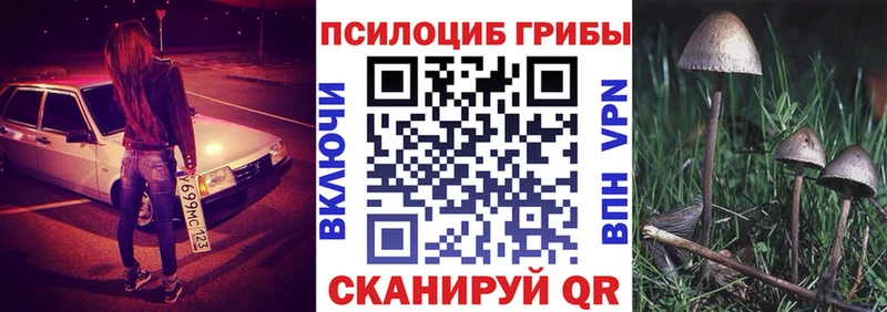 Псилоцибиновые грибы прущие грибы  Сосновый Бор 